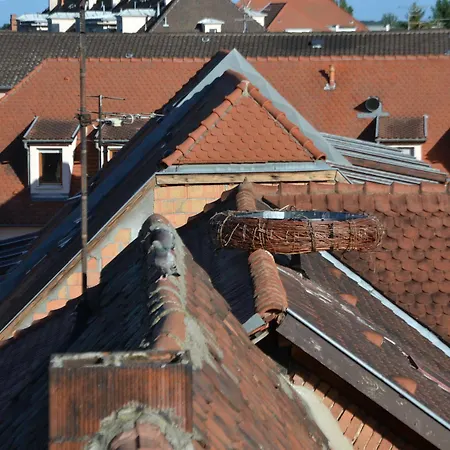 Il Etait Un Toit Colmar